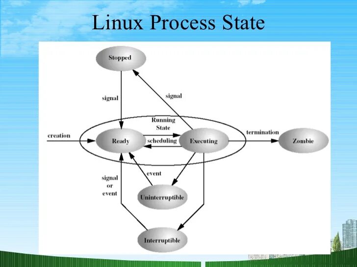 Жизненный цикл процесса Linux. Состояния процессов в Linux. Состояния процесса в ОС Linux. Схема состояний процесса линукс.