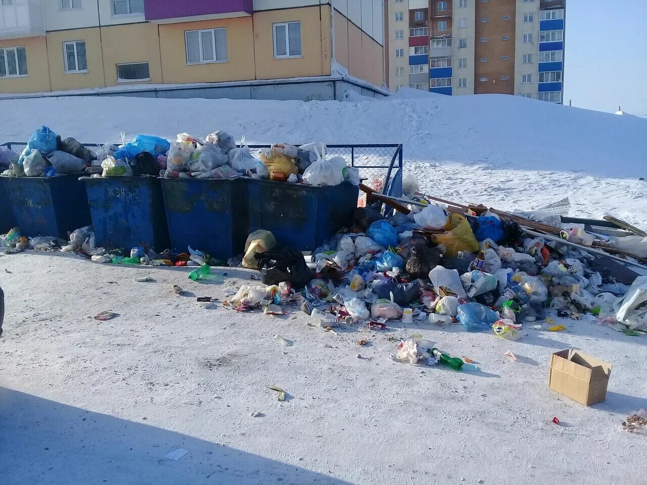 Мусорный контейнер. Мусорная площадка. Мусорка в школе. Бытовые отходы. Мусорка в школе.