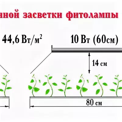 На какое расстояние фитолампа