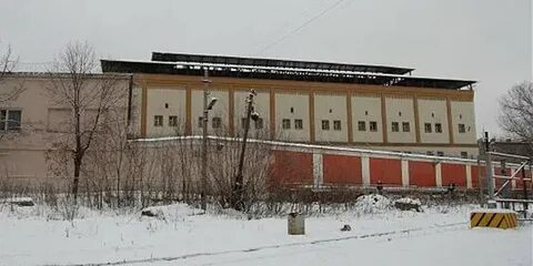 Сизо 3 г