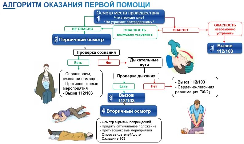 Тест алгоритма оказания первой. Алгоритм оказания первой помощи. Алгоритм по оказанию первой помощи. Универсальный алгоритм оказания первой помощи. Универсальный алгоритм оказания первой помощи 2023.