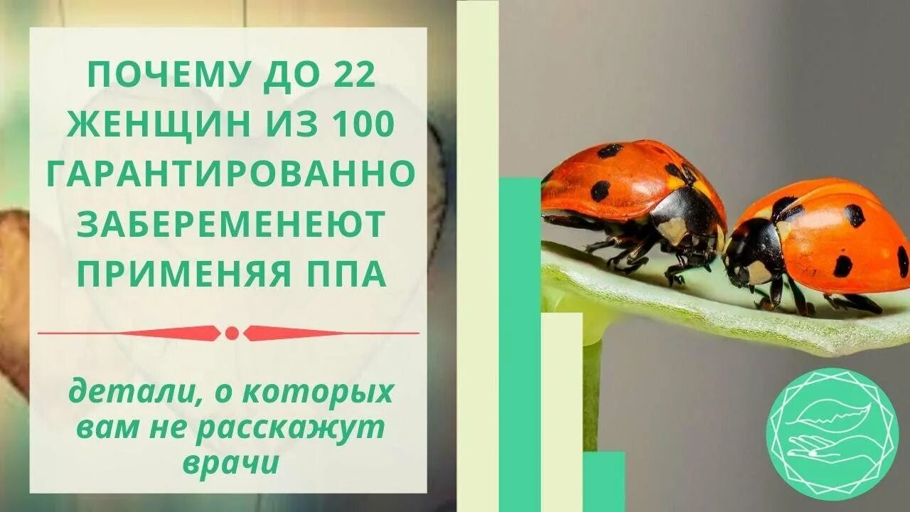 Ппа в овуляцию вероятность. Ппа шанс забеременеть. ппа вероятность беременности. прерванный пол акт вероятность беременности. вероятность забеременеть при ппа.