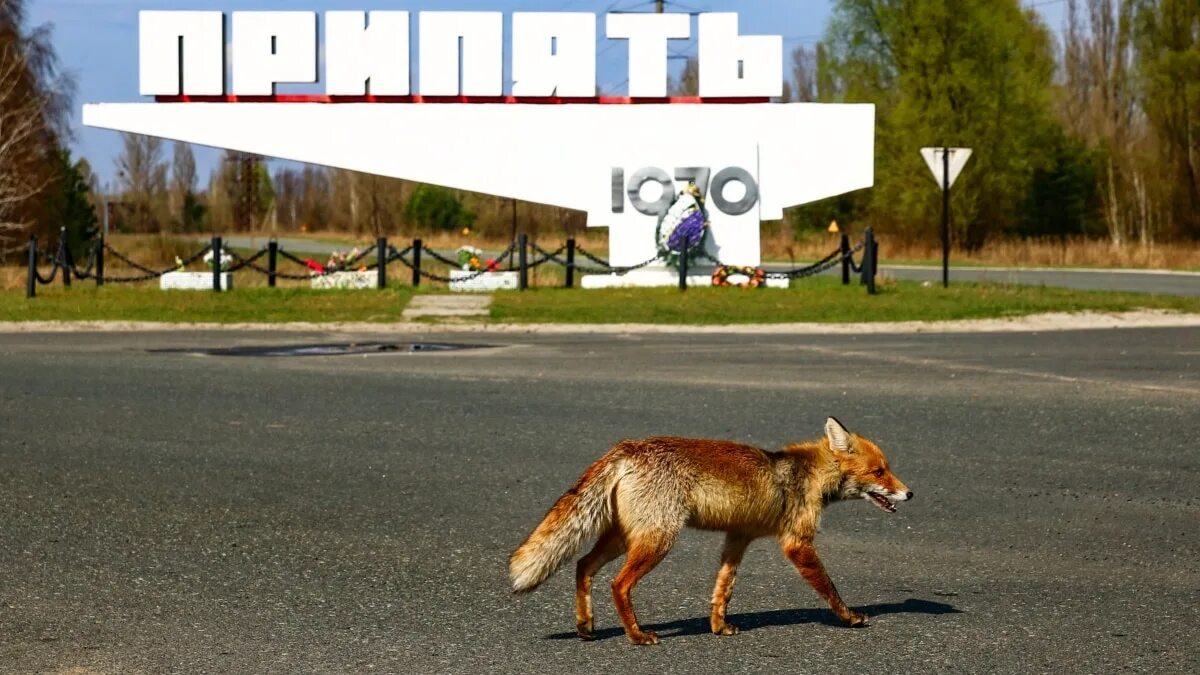 Флаг чернобыле