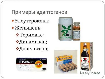 Адаптоген что это