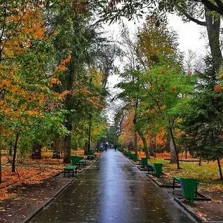 Осень после 2
