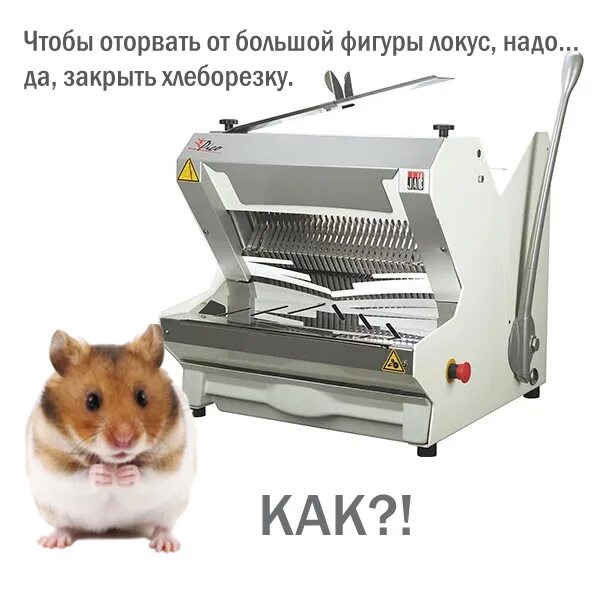 Oracle хомяк где. Oracle хомяк где