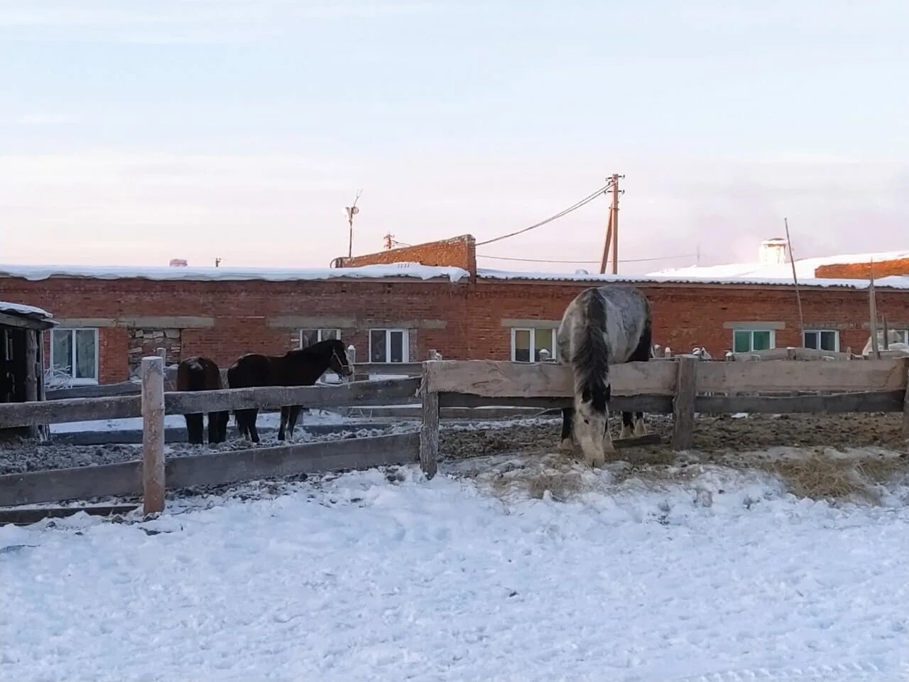 Погода татарский дмитриевка. СПК Дмитриевский татарский район. СПК РОЗЕНТАЛЬСКИЙ татарский район Новосибирская область. СПК колхоз победа татарский район Новосибирская область. Колхоз победа татарский район.