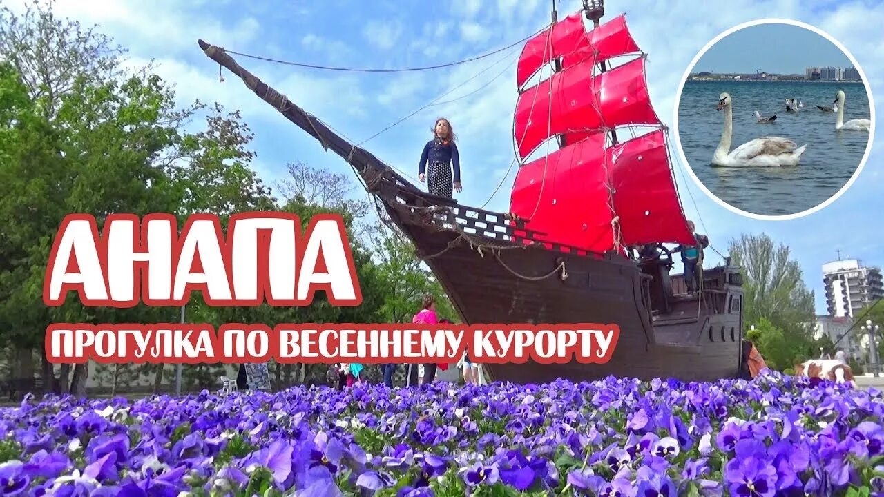 Анапа май. Майские в Анапе. Майские праздники в Анапе. Анапа в мае фото. 1 мая анапа