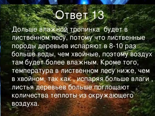 Лиственный лес влажность. Влажность в еловом лесу. Какая влажность в лиственном лесу. Влажность в сосновых лесах.