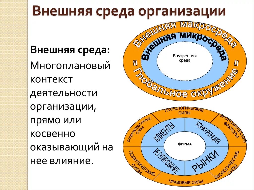 Организация ее внутренняя и внешняя среда