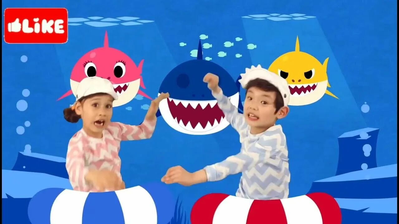 Пинкфонг акулёнок. Бэби шарк песня. Беби шарк. Pinkfong baby shark. Акуленок бэби шарк.