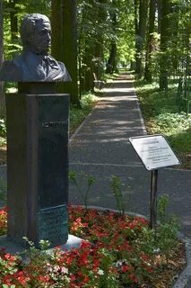 Пушкин захарово вяземы