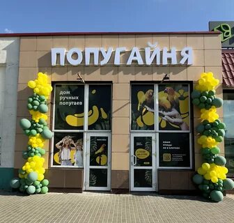 Попугайня просп стачек 39 отзывы