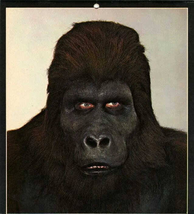 Страшная маска гориллы. Кто скрывается под маской гориллы в шоу. Джонатан брек гримм джиперса. Горилла актер. Страшная маска гориллы.