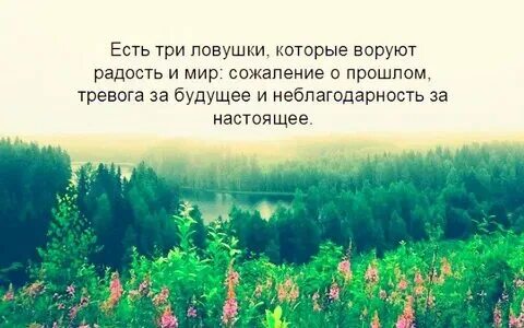 Погубленное счастье