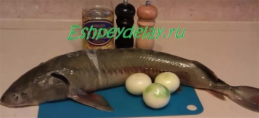 Стерлядь соленая. Сагудай из скумбрии. Стерлядка соленая. Осетр кастрюк. Стерлядка рыба соленая.