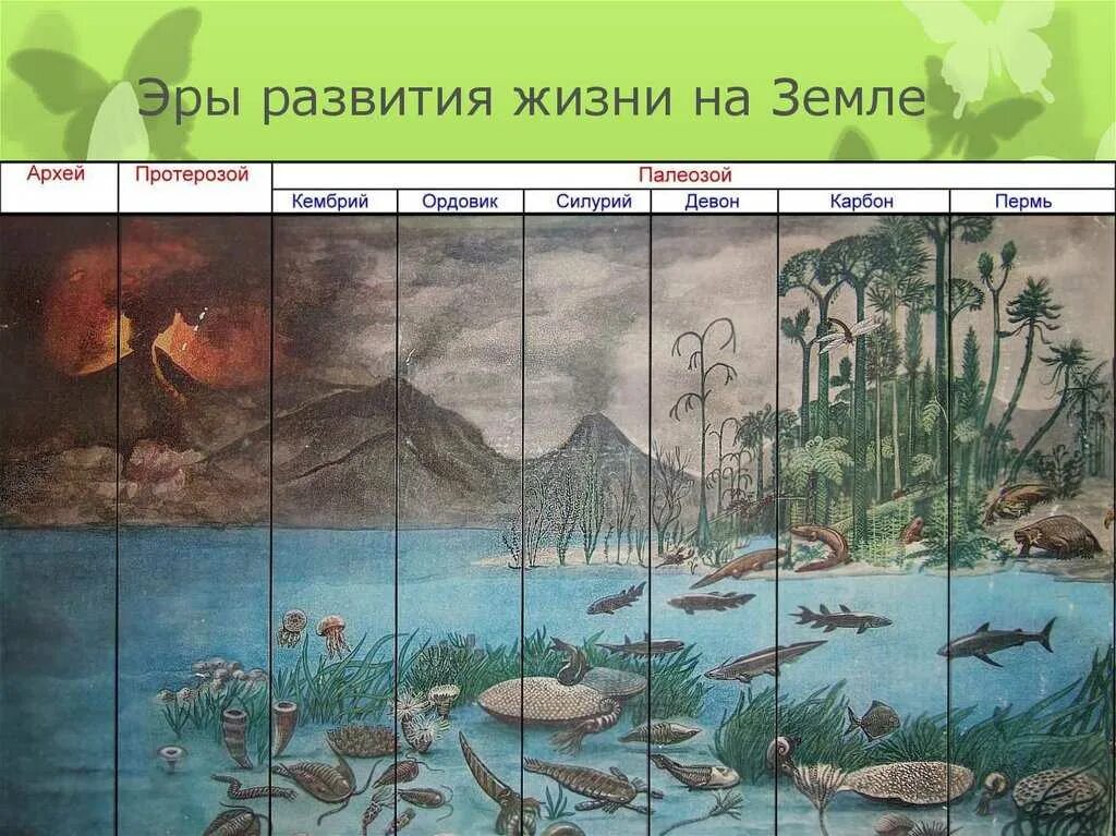 Основные этапы развития жизни. Геохронологическая шкала эры периоды. Фанерозой мезозой. Эры происхождения жизни на земле. Развитие жизни на змел.