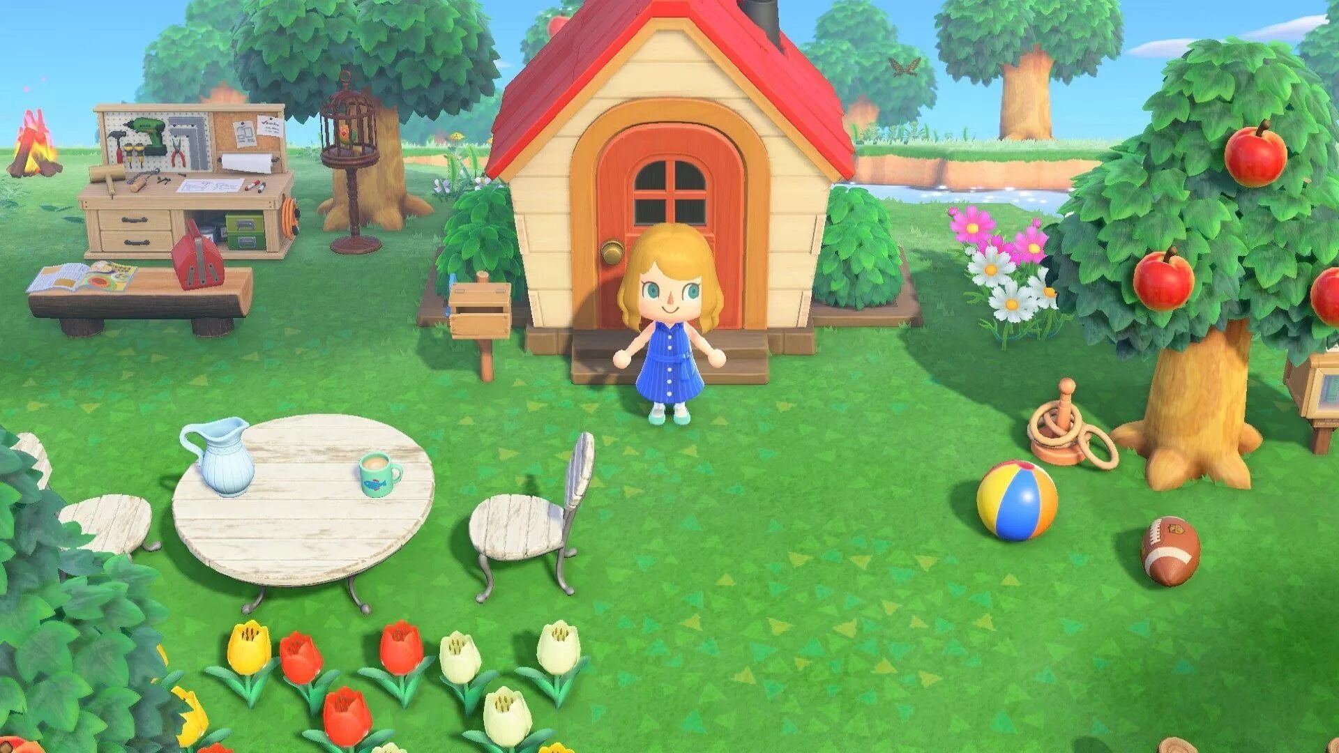 Animal crossing home