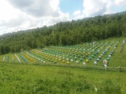 Мсх республики башкортостан
