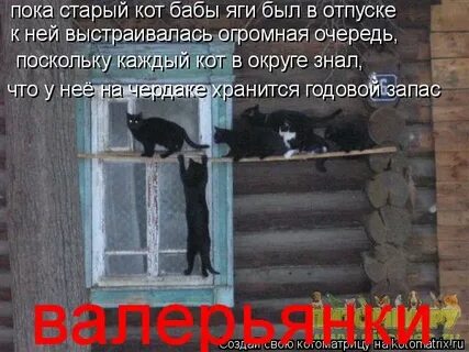 Пока старая