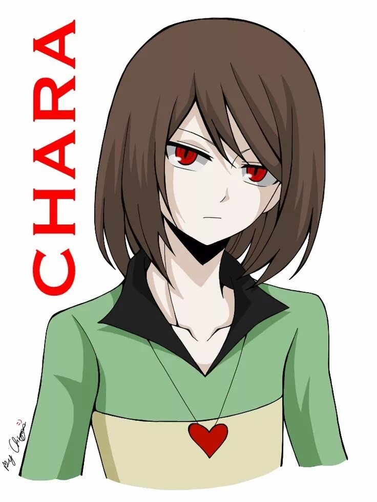 Chara reader