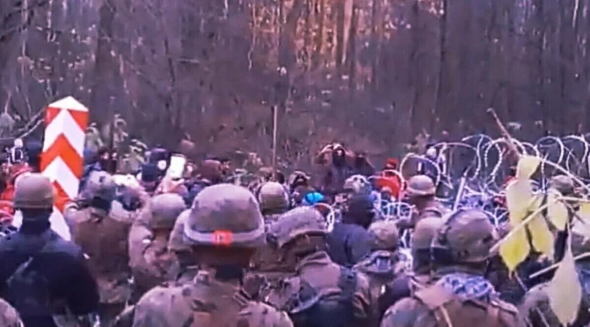 Новости польша беларусь обстрел. Мигранты на границе беларуси и польши. Мигранты на границе беларуси и польши. Нападение польши на беларусь. Нападение польши на беларусь.