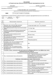 Реестр индивидуальных предпринимателей и малого предпринимательства