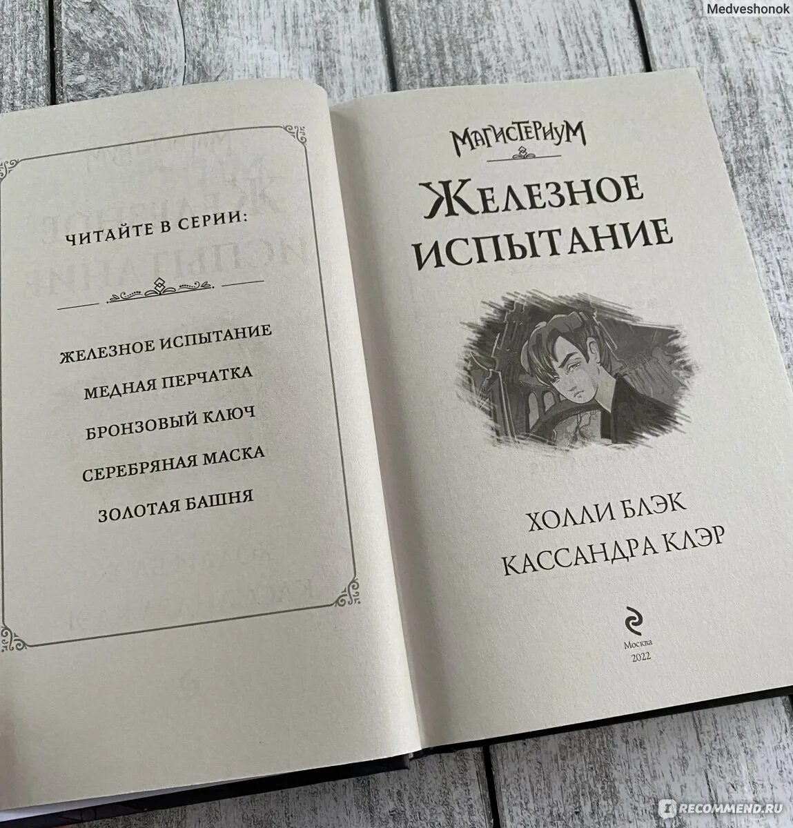Кассандра клэр отзывы