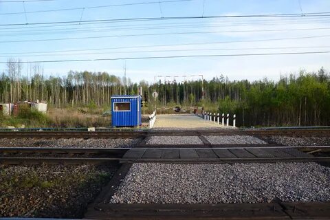 Переехать ленинградскую область