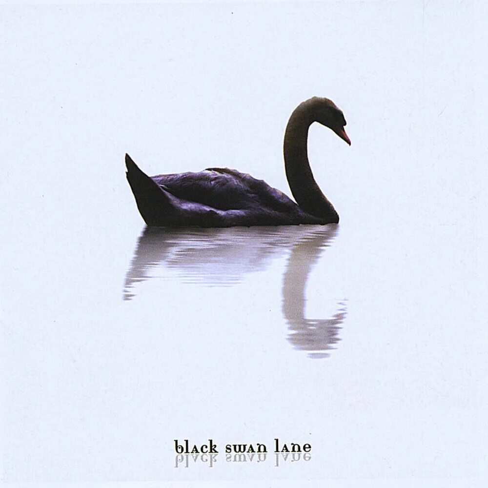 Black Swan Lane. Black Swan альбом. Черный лебедь Мем. Черный лебедь корабль.