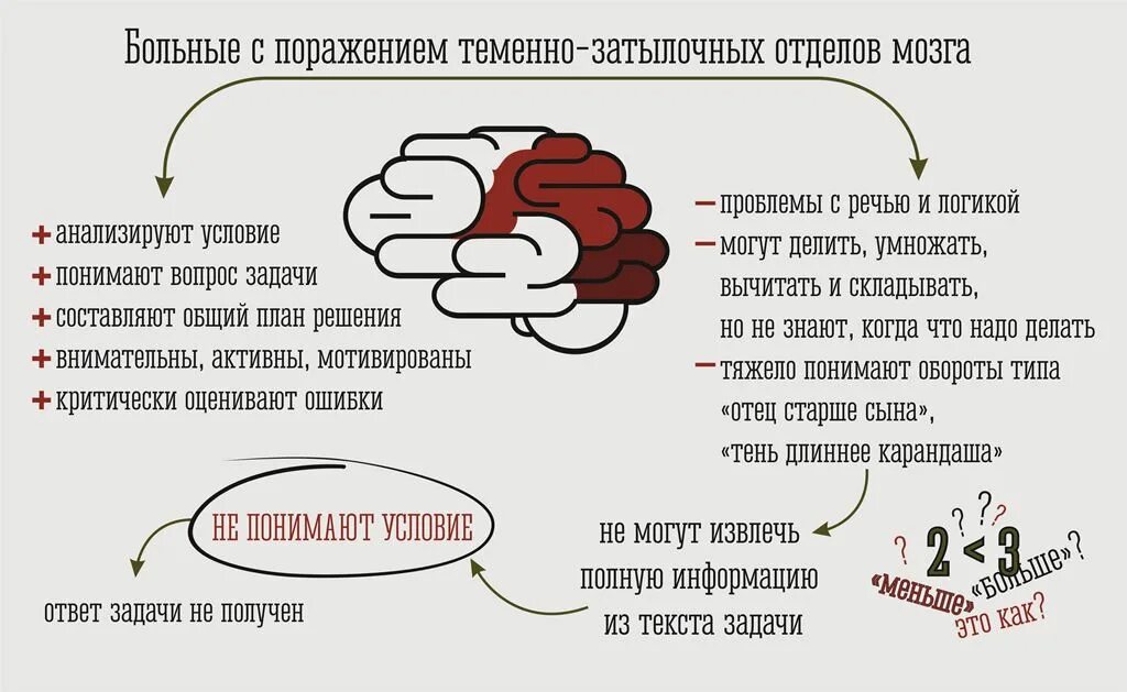 Математика сколько хочешь. Мозг анализирует. Задания для преодоления акалькулии.