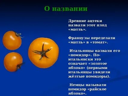 Какой овощ называли