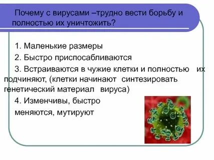 Почему с вирусами трудно вести борьбу
