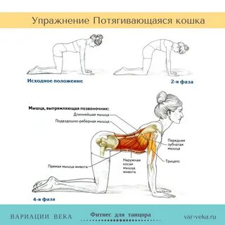 10 упражнений на мышцы спины