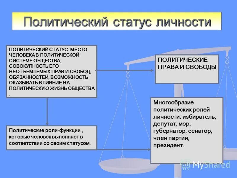 Социальный статус политика