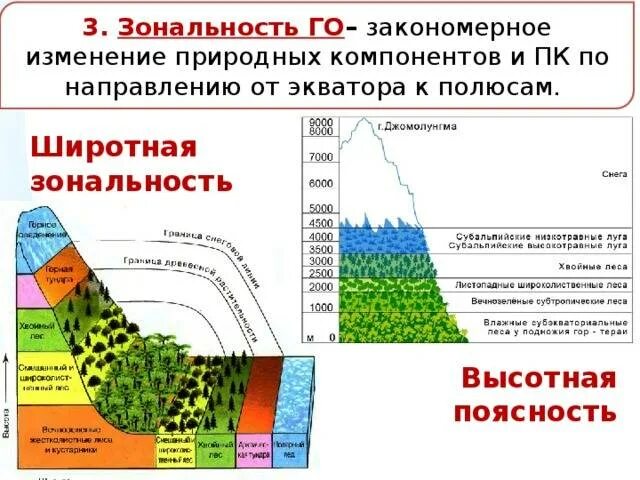 Изменение широтной зональности