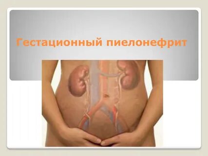 Пиелонефрит при беременности и после: лечение, симптомы, последствия