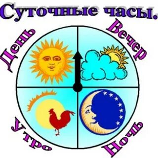 Сутки
