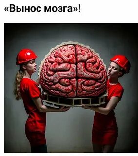 Вынесу ее мозги