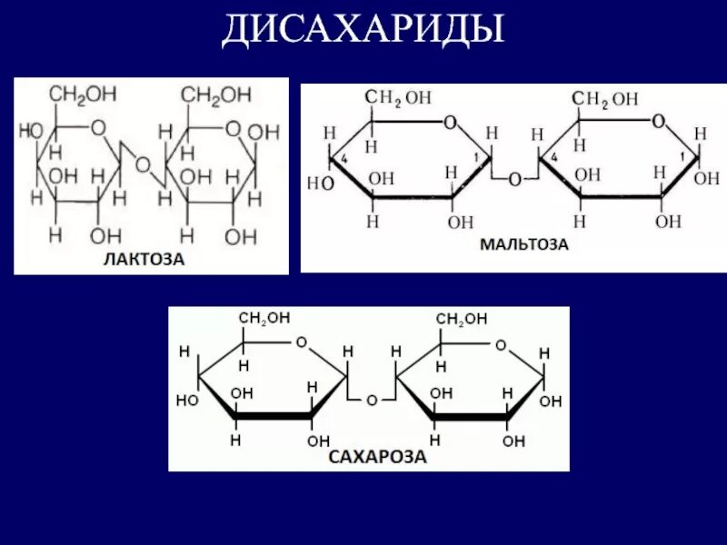 Химические свойства лактозы. Мальтоза это олигосахарид. Формула олигосахарида мальтозы. Мальтоза из Альфа Глюкозы. Глюкоза, сахароза, лактоза и мальтоза.