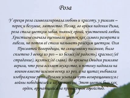 Как стать цветком