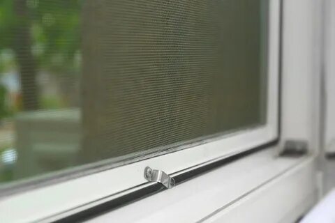 Window net