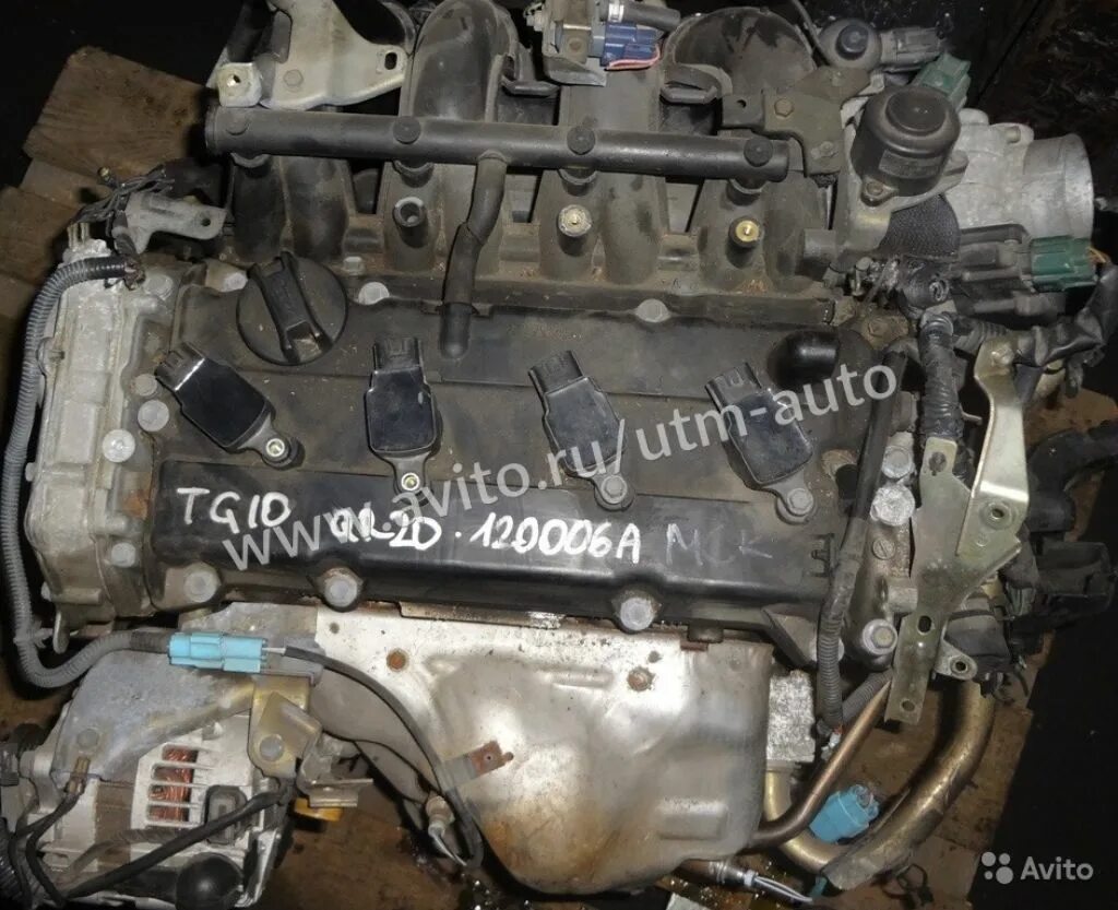 Bluebird sylphy qr20dd. Nissan bluebird sylphy qr20dd. qr20dd двигатель. qr25dd двигатель. двигатель qr20de.