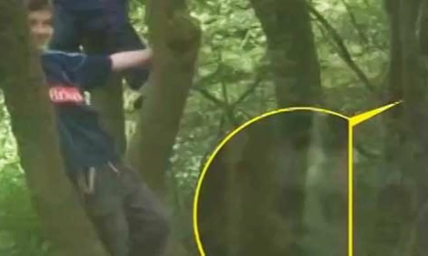 Запечатливать или запечатлевать. Запечатлеть этот момент. Исторические события запечатленные на фото. Кто запечатлен на фотографии. Запечатлевающая фотография.