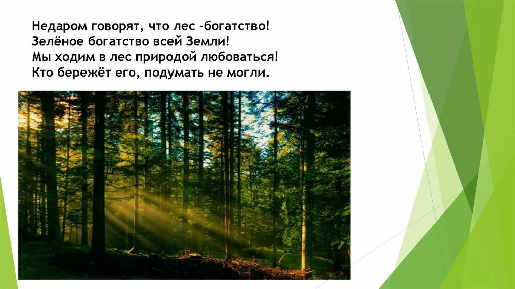 Лес богатство. Лес наше богатство. Лес богатство земли. Презентация день работников леса.