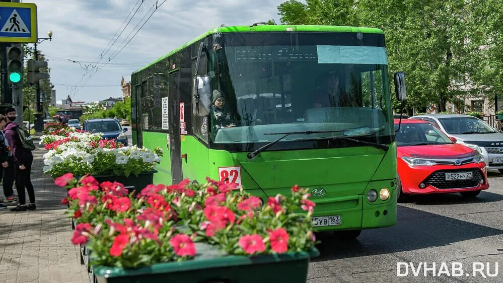 В автобусном парке 12 процентов всех автобусов