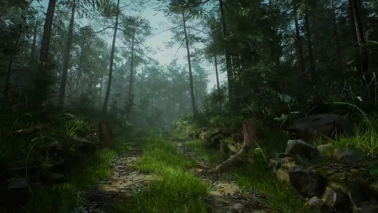 Barbed Wire Spline for Unreal Engine 5 - YouTube