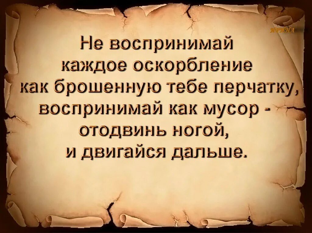 Что ответить если тебя оскорбили. Высказывания если человек оскорбляет. цитаты про оскорбления. цитаты про оскорбления и унижения. афоризмы про оскорбления.
