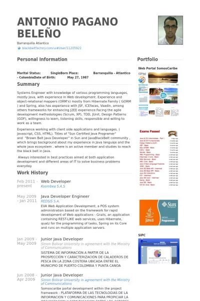 Java разработчик резюме. Резюме java разработчика. пример резюме java разработчика. резюме java developer. пример резюме java junior developer.