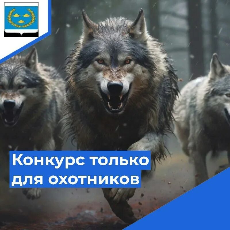 Внешние качества предмета принадлежность предмета. Canis lupus cubanensis. Волчий относительное прилагательное. Четыре волка. Качественное относительное притяжательное прилагательное.